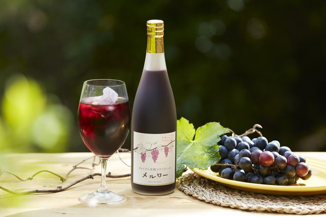 井筒ワイン 井筒プレミアム 完熟ぶどうジュース メルロー 720ml × 2本 極甘口 発売元 株式会社片山 141305_JN07