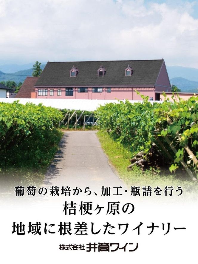 井筒ワイン 井筒プレミアム 完熟ぶどうジュース メルロー 720ml × 2本 極甘口 発売元 株式会社片山 141305_JN07