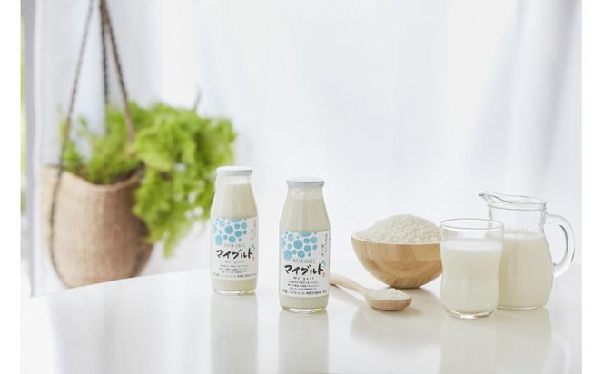 寺田本家 乳酸発酵あま酒 マイグルト 160g x 24本 ノンアルコール 発売元 株式会社片山 141305_JN18