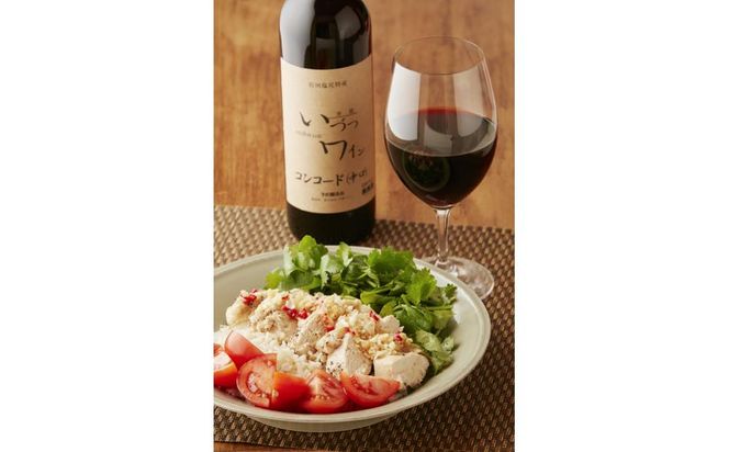 井筒ワイン 酸化防止剤不使用 井筒 コンコード 赤中口 720ml × 2本 発売元 株式会社片山 141305_JN29