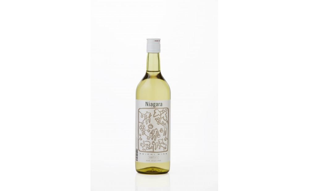 林農園 五一わいん 酸化防止剤無添加 ナイヤガラ 白 やや甘口 720ml 2本 発売元 株式会社片山 141305_JN34