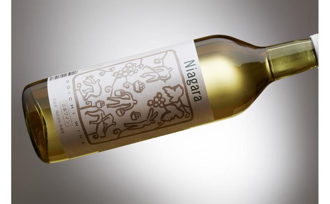 林農園 五一わいん 酸化防止剤無添加 ナイヤガラ 白 やや甘口 720ml 2本 発売元 株式会社片山 141305_JN34