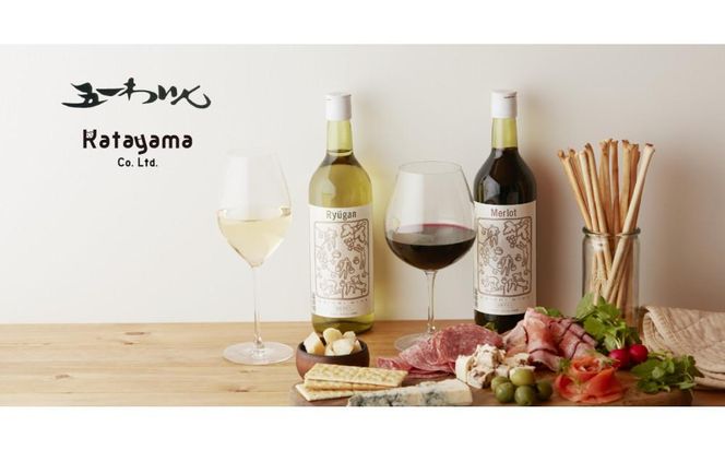 林農園 五一わいん 酸化防止剤無添加 ナイヤガラ 白 やや甘口 720ml 2本 発売元 株式会社片山 141305_JN34