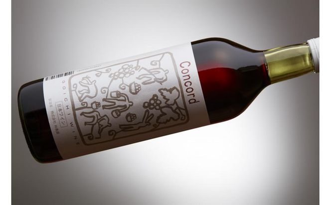 林農園 五一わいん 酸化防止剤無添加 コンコード 赤 やや甘口 720ml 2本 発売元 株式会社片山 141305_JN35