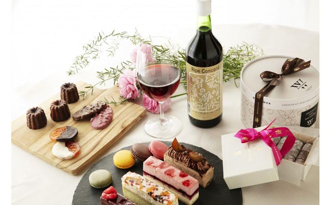 林農園 五一わいん 酸化防止剤無添加 完熟コンコード 赤 甘口 720ml × 2本 発売元 株式会社片山 141305_JN37