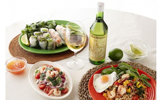 林農園 五一わいん 酸化防止剤無添加 完熟ナイヤガラ 白 甘口 720ml × 2本 発売元 株式会社片山 141305_JN38