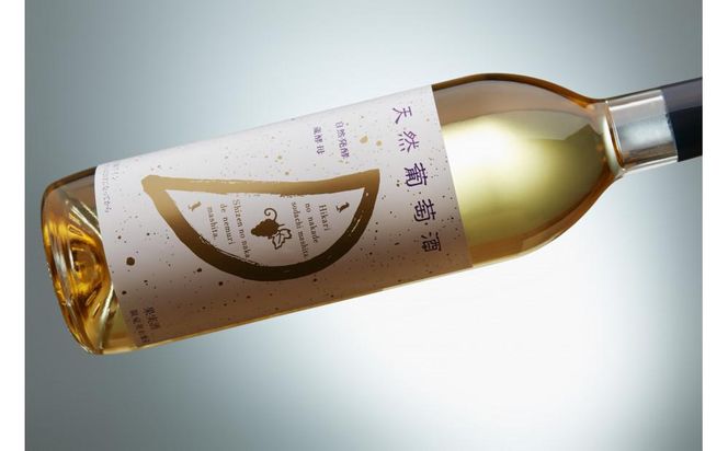 天然ワイン醸造 酸化防止剤無添加 天然葡萄酒 白 辛口 デラウェア 720ml × 2本 発売元 株式会社片山 141305_JN48