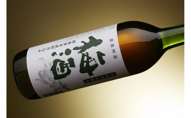 特製 玄米焼酎仕込み 梅酒 720ml × 2本 リキュール 小正醸造 和蔵の稔りブランド 発売元 株式会社片山 141305_JN52