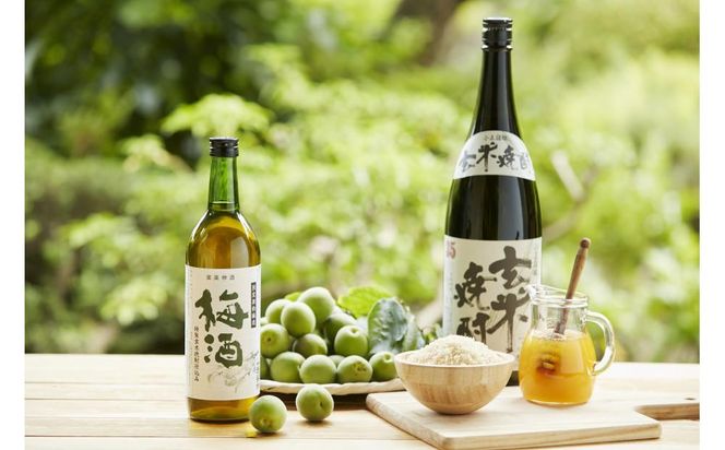 特製 玄米焼酎仕込み 梅酒 720ml × 2本 リキュール 小正醸造 和蔵の稔りブランド 発売元 株式会社片山 141305_JN52