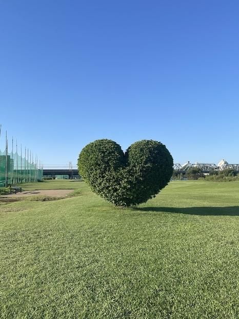 ゴルフ3,000円分利用券*1枚 141305_KD01