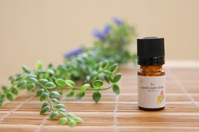 芥川バースクリニック監修　オーガニック安眠ブレンドオイル5ml＆スプレー100ml 141305_KL03