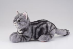 川崎市のロボットメーカーが作る、シニア向けペットの代理ロボット！なでなでねこちゃんEXシリーズ　（アメショー） 141305_KX01VC01