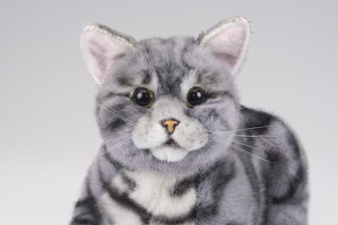 川崎市のロボットメーカーが作る、シニア向けペットの代理ロボット！なでなでねこちゃんEXシリーズ　（アメショー） 141305_KX01VC01