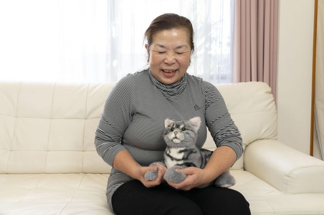 y_ސ쌧szs̃{bg[J[AVjAybg̑㗝{bgIȂłȂł˂EXV[Y@iAV[j 141305_KX01VC01