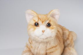 川崎市のロボットメーカーが作る、シニア向けペットの代理ロボット！なでなでねこちゃんEXシリーズ　（とら） 141305_KX01VC02