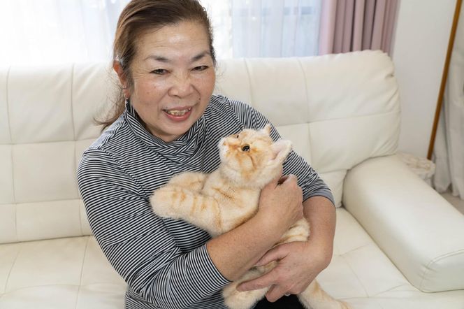 川崎市のロボットメーカーが作る、シニア向けペットの代理ロボット！なでなでねこちゃんEXシリーズ　（とら） 141305_KX01VC02