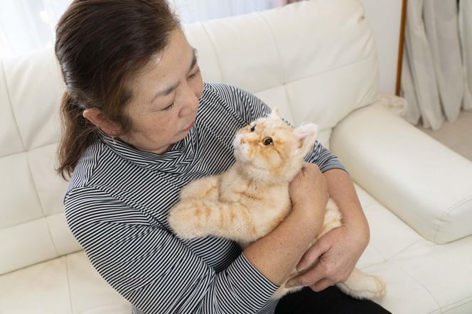 川崎市のロボットメーカーが作る、シニア向けペットの代理ロボット！なでなでねこちゃんEXシリーズ　（とら） 141305_KX01VC02