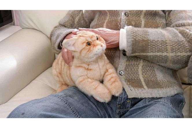 川崎市のロボットメーカーが作る、シニア向けペットの代理ロボット！なでなでねこちゃんEXシリーズ　（とら） 141305_KX01VC02
