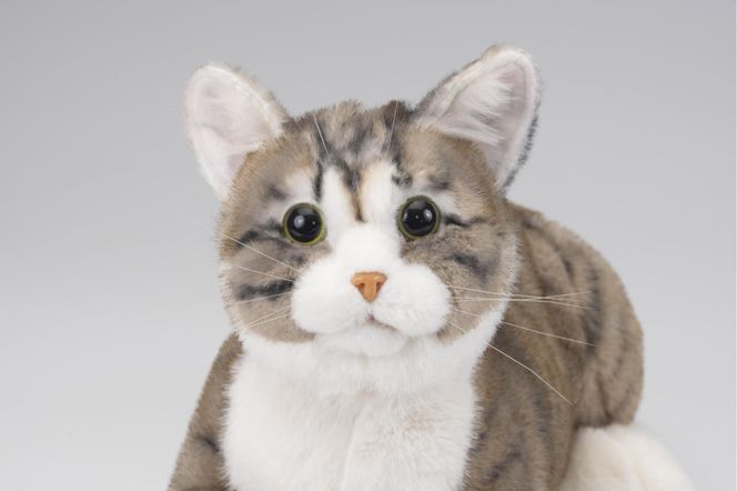 川崎市のロボットメーカーが作る、シニア向けペットの代理ロボット！なでなでねこちゃんEXシリーズ（キジトラ） 141305_KX01VC04