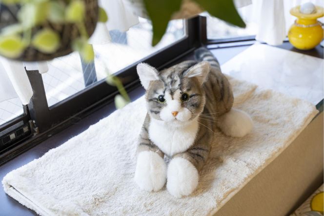 川崎市のロボットメーカーが作る、シニア向けペットの代理ロボット！なでなでねこちゃんEXシリーズ（キジトラ） 141305_KX01VC04