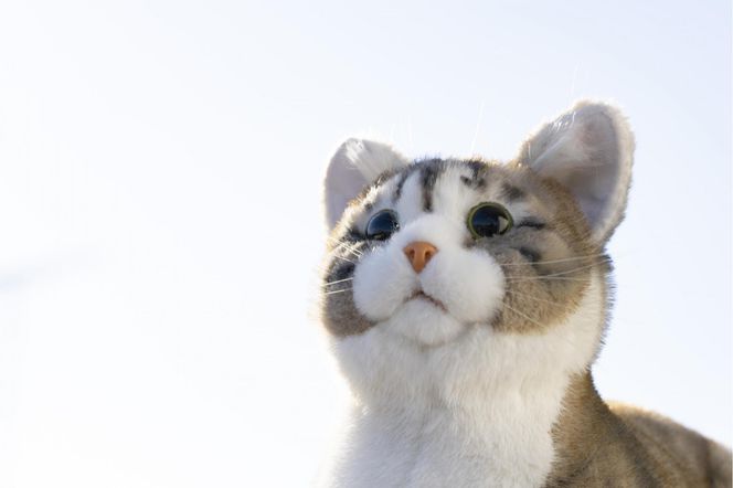 川崎市のロボットメーカーが作る、シニア向けペットの代理ロボット！なでなでねこちゃんEXシリーズ（キジトラ） 141305_KX01VC04