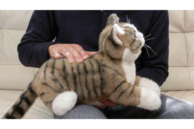 川崎市のロボットメーカーが作る、シニア向けペットの代理ロボット！なでなでねこちゃんEXシリーズ（キジトラ） 141305_KX01VC04