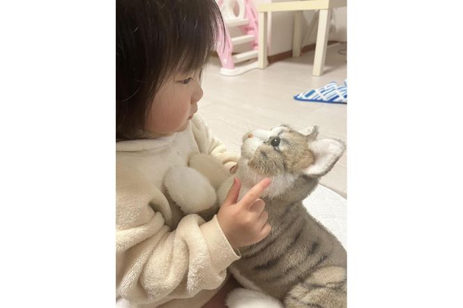 川崎市のロボットメーカーが作る、シニア向けペットの代理ロボット！なでなでねこちゃんEXシリーズ（キジトラ） 141305_KX01VC04