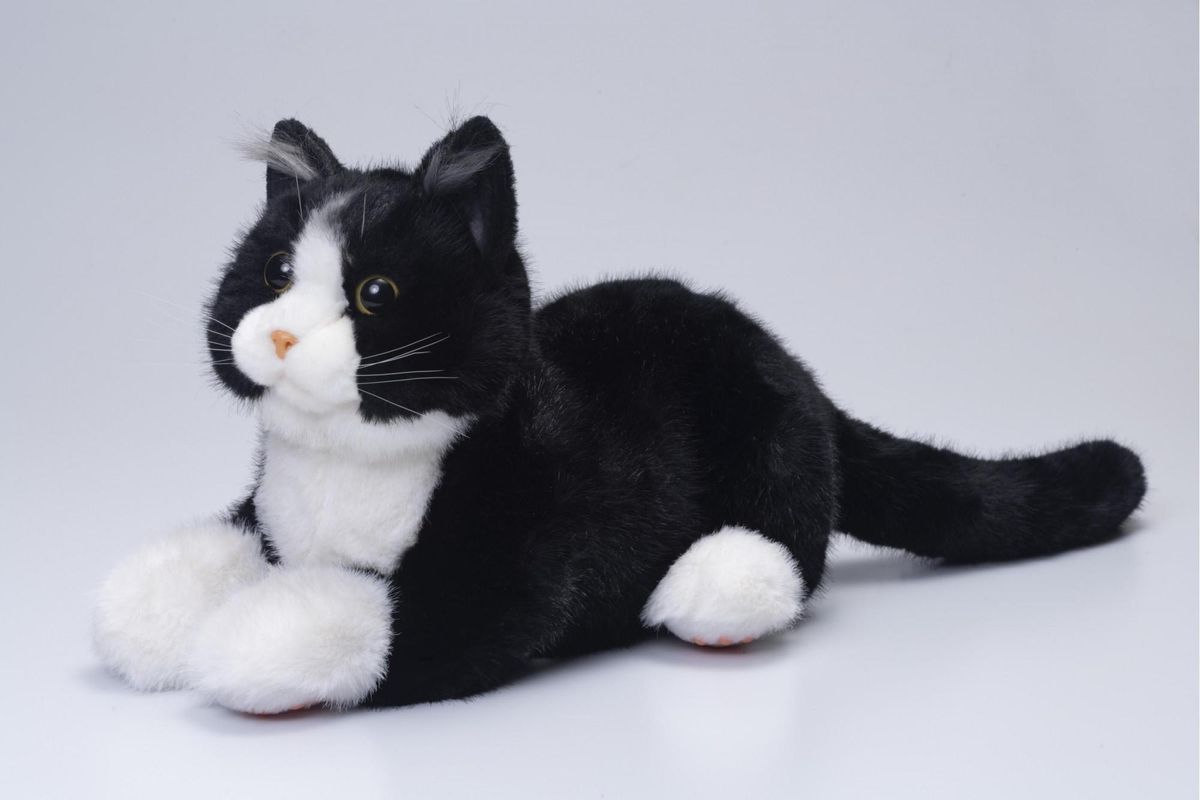 川崎市のロボットメーカーが作る、シニア向けペットの代理ロボット!なでなでねこちゃんEXシリーズ(ハチワレ) 141305_KX01VC05