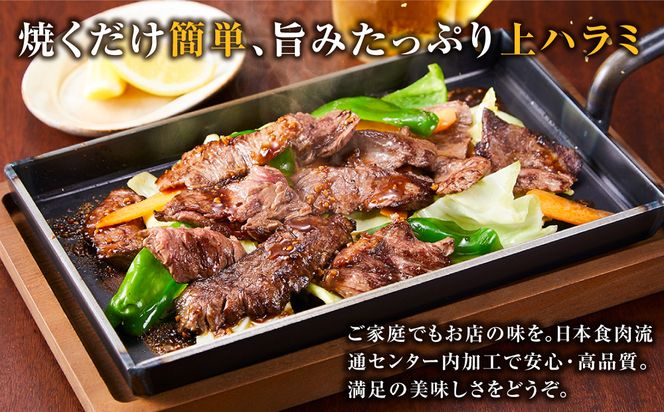 日本食肉流通センター内加工　やわらか上ハラミ　５００g×２パック 141305_LK02
