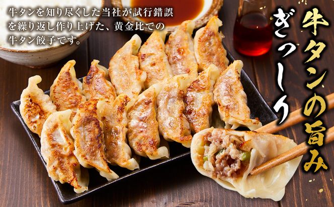 牛タン加工会社　アウトカム　牛タン餃子２種セット 141305_LK03