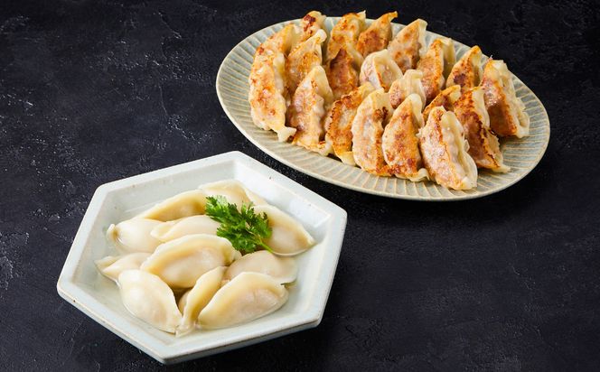 牛タン加工会社　アウトカム　牛タン餃子２種セット 141305_LK03