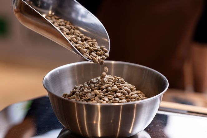 【YANAKA COFFEE】コーヒー豆（豆のまま） 小杉ブレンド500ｇ 141305_LR01