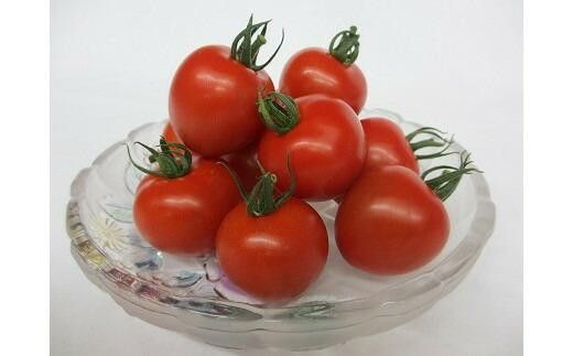 1013.【先行予約】【ＪＡ】ナンチューうまいトマト（中玉トマト）　A・250ｇ×8袋　※着日指定不可　※離島への配送不可　※2026年9月上旬頃～10月末頃に順次発送予定 313726_BN021