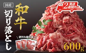 【2週間以内発送】国産和牛切り落とし600ｇ 464686_SA173