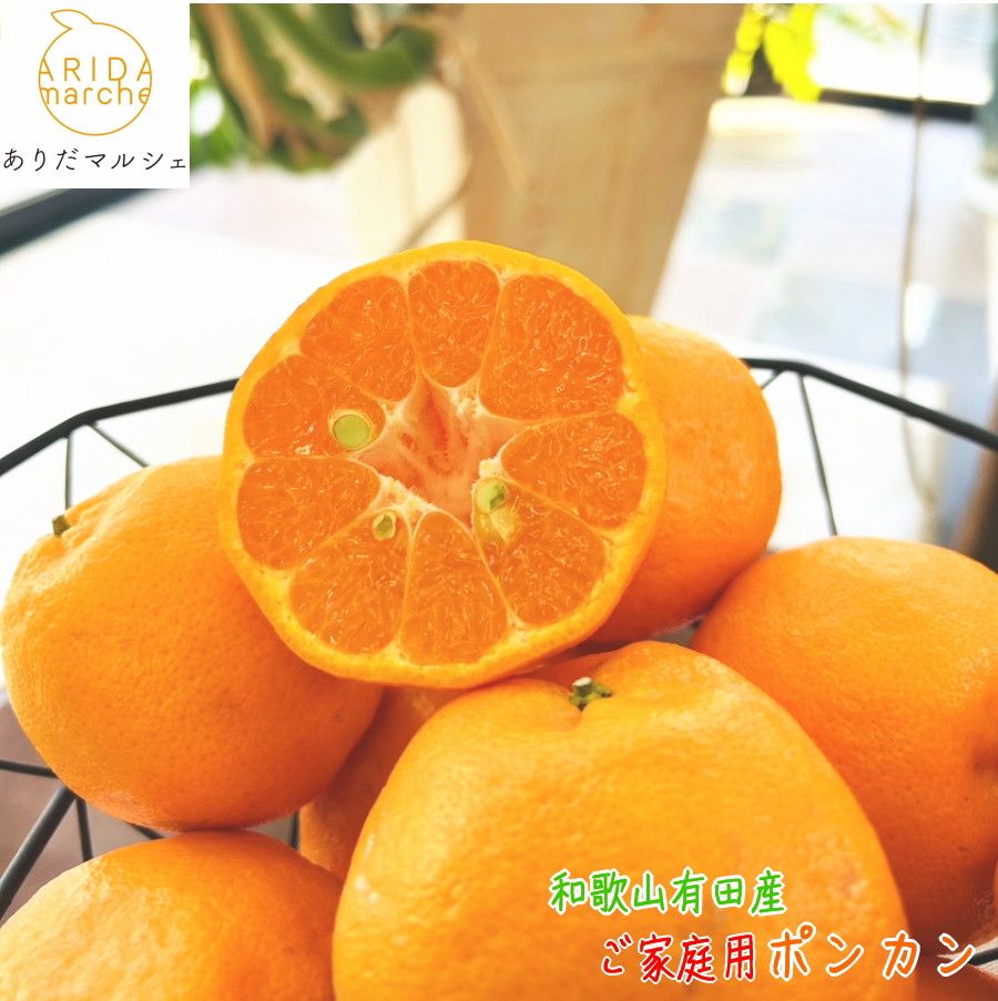 有田育ちの 完熟 ポンカン(ご家庭用)約3kg[先行予約][MS44] 303446_XD90195