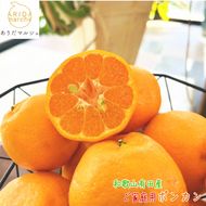 有田育ちの 完熟 ポンカン（ご家庭用）約10kg［先行予約］［MS47］ 303446_XD90198