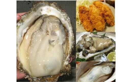 1014.【2026年6月上旬以降発送 先行予約】鳥取県産　天然岩ガキ『夏輝』　特大サイズ3個（500g以上×3個） 牡蠣 カキ※着日指定不可※2026年6月上旬～8月下旬頃に順次発送予定 313726_AL029