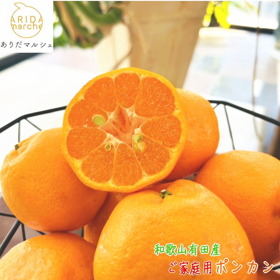 有田育ちの 完熟 ポンカン(ご家庭用)約2kg[先行予約][MS118] 303446_XD90267