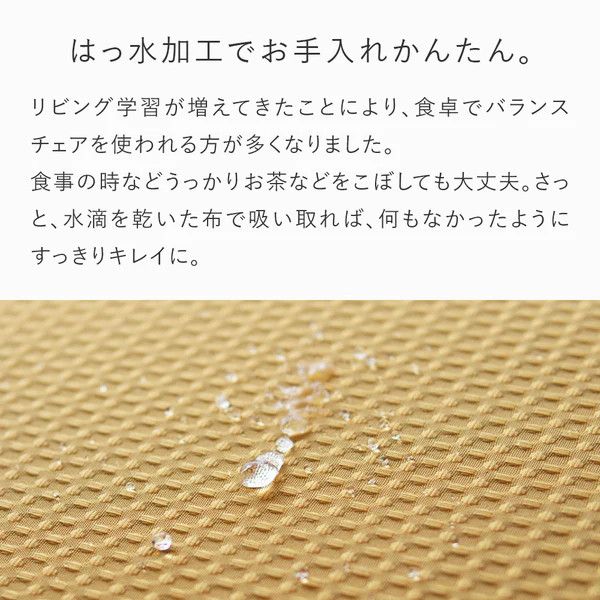 バランスイージー専用はっ水カバー（アイビーグリーン）ドットワッフル【 バランスイージー カバー 大阪府 門真市 】 272230_CM001VC06