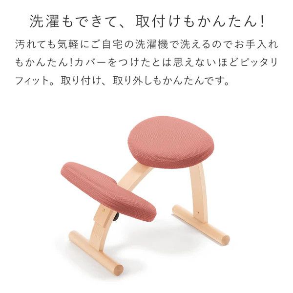 バランスイージー専用はっ水カバー（アガットレッド）ドットワッフル【 バランスイージー カバー 大阪府 門真市 】 272230_CM001VC11