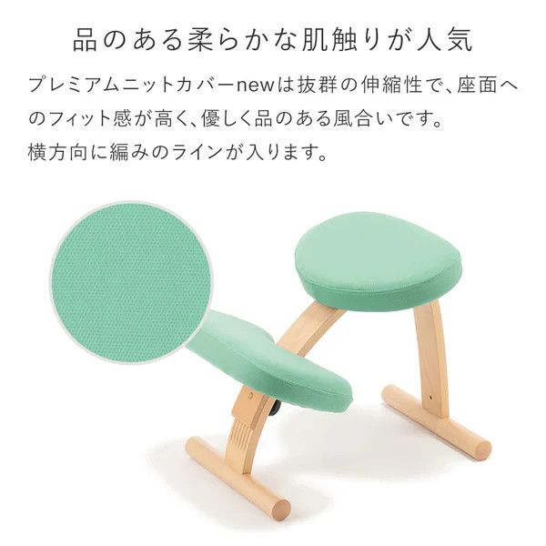 バランスイージー専用プレミアムニットカバーnew（ライトグリーン）はっ水加工【 バランスイージー カバー 大阪府 門真市 】 272230_CM005VC02