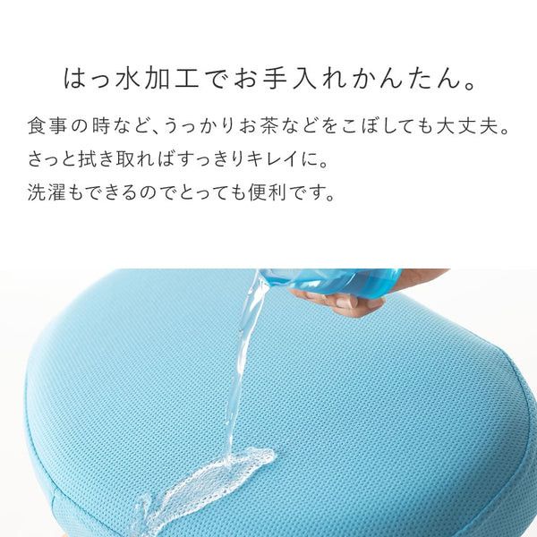 バランスイージー専用プレミアムニットカバーnew（桜）はっ水加工【 バランスイージー カバー 大阪府 門真市 】 272230_CM005VC07