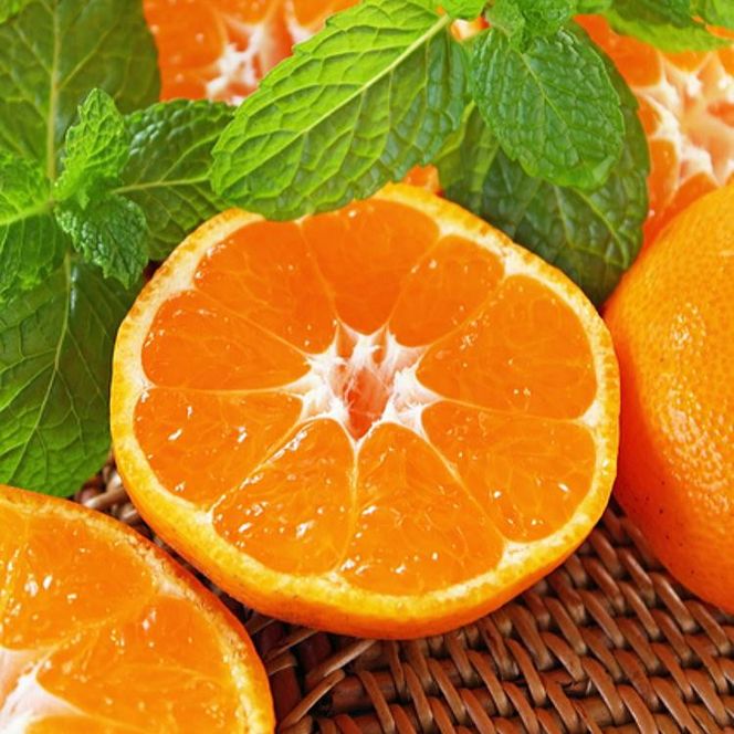 農家直送 完熟 有田みかん 3kg［先行予約 2026年11月発送］［MS10-1］ 303446_XD90168