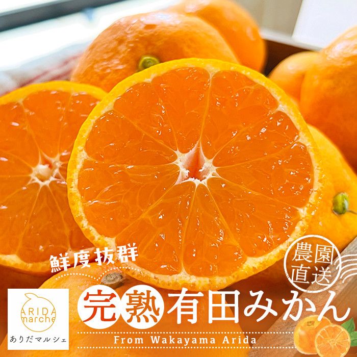 農家直送 完熟 有田みかん 約2kg[先行予約 2025年11月発送][MS12-1] 303446_XD90174
