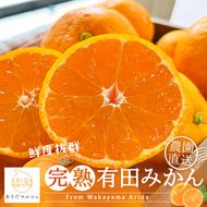 農家直送 完熟 有田みかん 2kg［先行予約 2026年12月発送 ］［MS12-2］ 303446_XD90175