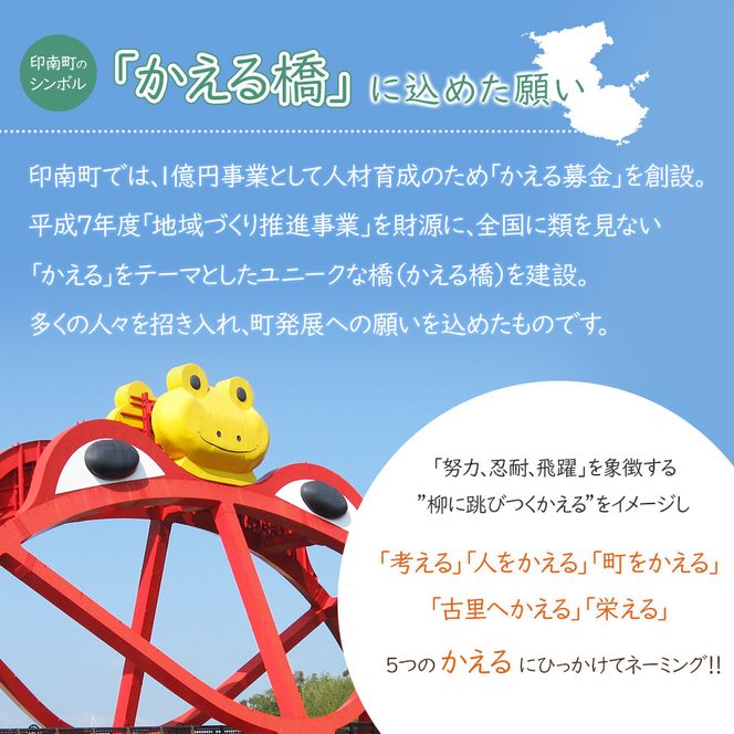 【大人気】【国産】こめ油 500g×12本 ［MS117］ 303446_XD90266