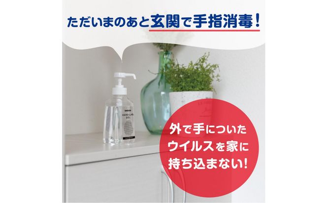 ハンドラボ手指消毒スプレーVH３００ｍｌ×５ 242161_FF005