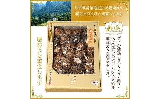 国東しいたけ「香ちゃん（極上品300g）」※桐箱入り_29030B