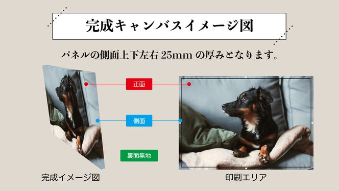 オリジナルキャンバス印刷（ジクレー印刷）P8号 272183_CY001