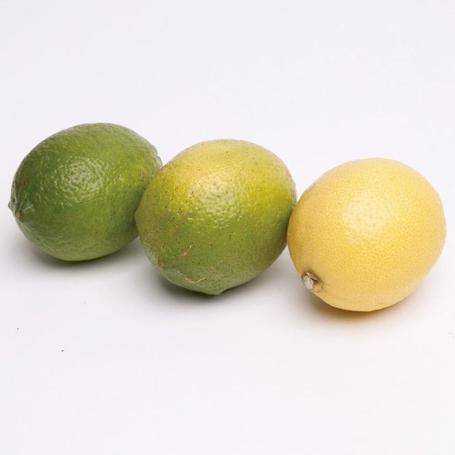 家庭用 レモン1kg+250g（傷み補償分）【和歌山有田産】【防腐剤・WAX不使用、安心の国産レモン】【わけあり・訳ありレモン】［IKE125］ 303446_BB002